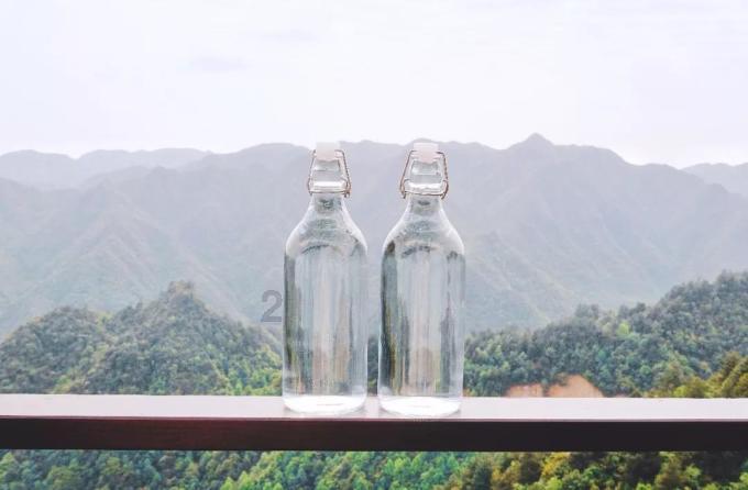 逃出小象森林