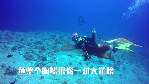 找陌生人抱团养老靠谱么?- 你的全方位问题解答平台