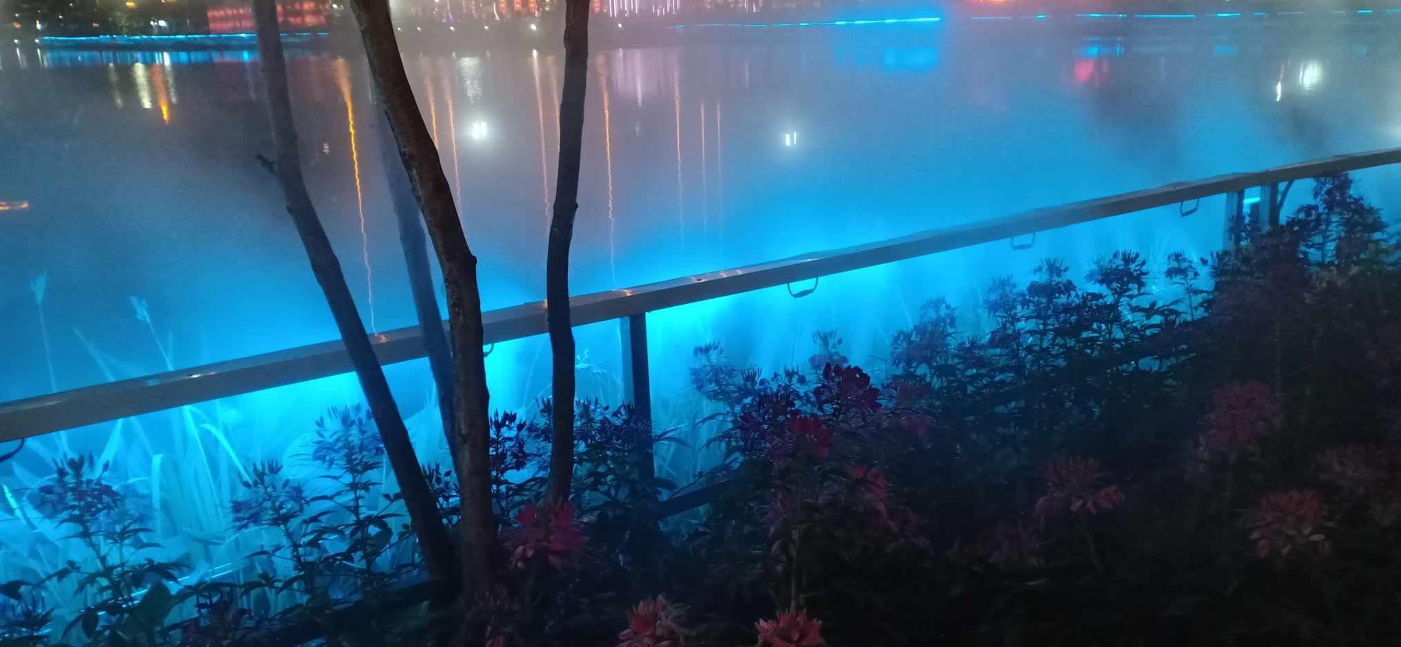舞者芭比